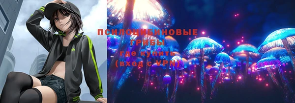 дживик Дмитровск