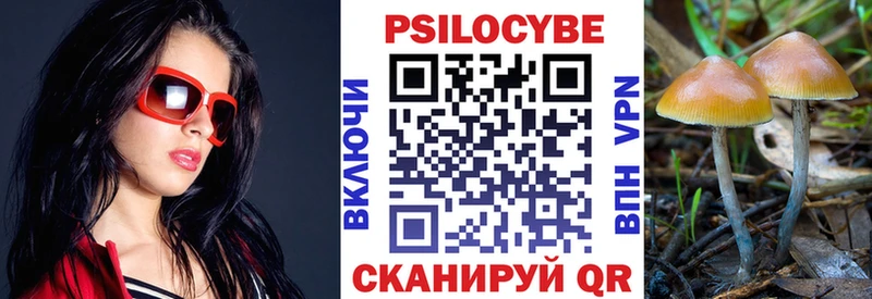 Галлюциногенные грибы Magic Shrooms  Купить  Шилка 